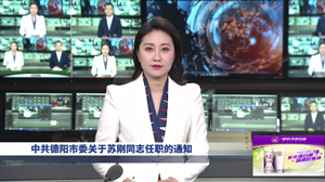 苏刚同志任德阳市委常委