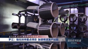 罗江：强化扶持重点项目  加速推进复产达能