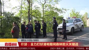 什邡：全力打好清明期间森林防火关键战