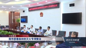 我市部署森林防灭火专项整治