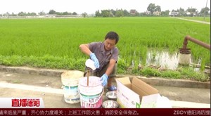 服务指导下田间 夏种夏管农事忙