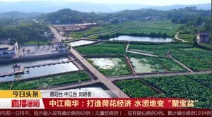中江南华：打造荷花经济 水涝地变“聚宝盘”