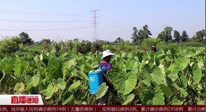 什邡方亭：企业进乡村 村民变工人