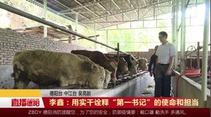李鑫：用实干诠释“第一书记”的使命和担当