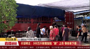 什邡师古：300万斤鲜黄梨抢“鲜”上市 等你来下单