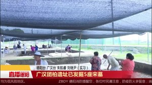 广汉团柏遗址已发掘5座宋墓