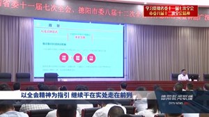 以全会精神为指引 继续干在实处走在前列