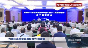 为德阳高质量发展聚合力添能量