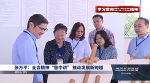 张万平：全会精神“督中讲” 推动发展新跨越