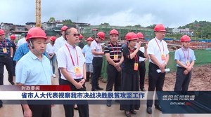 省市人大代表视察我市决战决胜脱贫攻坚工作