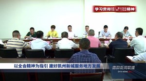 凝聚落实合力 推动德阳经济社会高质量发展