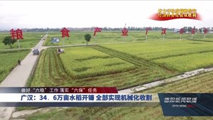 广汉：34.6万亩水稻开镰 全部实现机械化收割