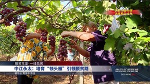 中江永太：培育“领头雁”引领脱贫路