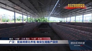 广汉：提高规模化养殖 确保生猪稳产保供