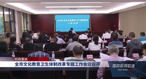 全市文化教育卫生体制改革专题工作会议召开
