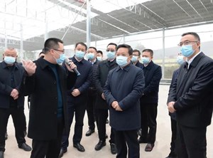 抓住乡村国土空间规划编制“牛鼻子” 以更高站位更实举措做好两项改革“后半篇”文章