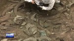 三星堆新发现：8号坑发现“虎头虎脑”龙形青铜像