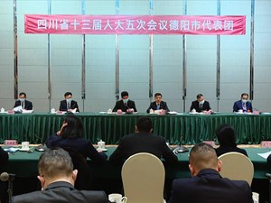 省十三届人大五次会议德阳代表团举行第二次、第三次全体会议