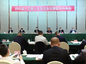 省十三届人大五次会议德阳代表团举行第四次全体会议