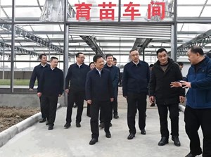 守住耕地保护红线 抓好粮食生产和重要农产品供给 奋力推动农业农村现代化迈出新步伐