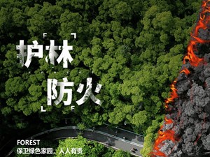全省森林草原防灭火警示日，四川公安发布一批典型案例