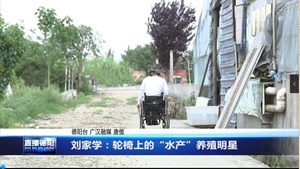 刘家学：轮椅上的“水产”养殖明星