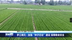 罗江调元：加强“种子芯谷”建设 保障粮食安全