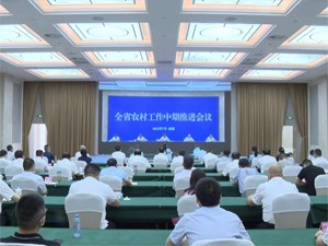 全省农村工作中期推进会议召开 坚持“拼”字当头 全力实现“三农”工作年度各项目标