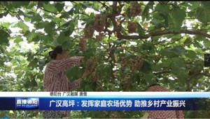 广汉高坪：发挥家庭农场优势 助推乡村产业振兴