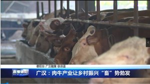 广汉：肉牛产业让乡村振兴“畜”势勃发