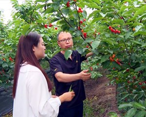 旌阳：科技特派员送技到田 为乡村振兴赋能添智