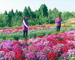 旌阳：做足“功课” 迎接八方游客