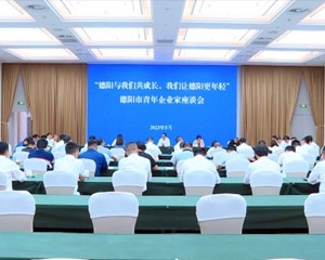德阳市青年企业家座谈会召开