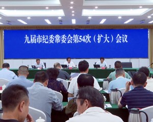德阳市纪委：以严明纪律保障好作风 以务实担当干出新作为