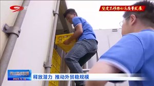 四川新闻联播丨释放潜力 推动外贸稳规模