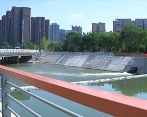 广汉：坪桥河河道整治项目乾坤堰水闸投用