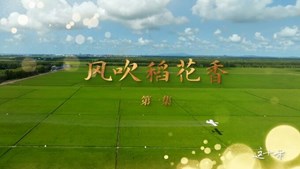 《这十年·幸福中国》第一集 《风吹稻花香》