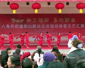 共庆佳节 各地迎新春活动纷纷“上新”