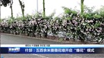 什邡：五百余米蔷薇花墙开启“爆花”模式
