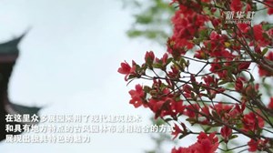 文化中国行｜成都世园会：感受古风园林的独特魅力