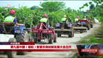 第九届中国（德阳）智慧农商创新发展大会召开