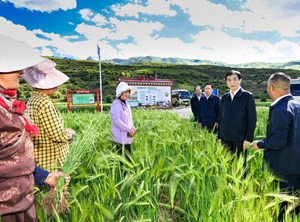 王沪宁在四川甘孜、阿坝调研时强调 全面贯彻新时代党的治藏方略 促进宗教和顺社会和谐民族和睦