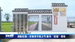  旌阳柏隆：百香果丰收上市 助农“甜蜜”增收