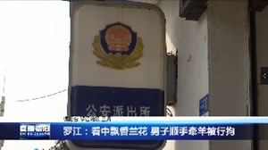 看中飘香兰花 男子顺手牵羊被行拘