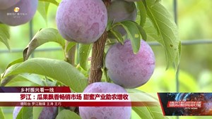 乡村振兴看一线：罗江、旌阳