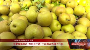 乡村振兴看一线：罗江、绵竹