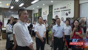 全省党建引领基层治理暨健全志愿服务体系工作部署推进会在我市召开