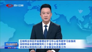 王晓晖主持召开省委理论学习中心组专题学习会强调：深刻领会全面把握党的二十届三中全会精神，坚定用以统揽四川进一步全面深化改革工作