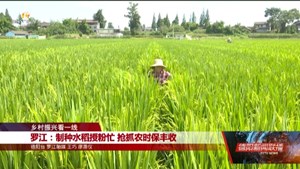 乡村振兴看一线：罗江、旌阳