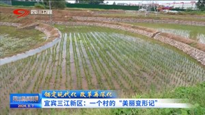 四川新闻联播丨锚定现代化 改革再深化——宜宾三江新区：一个村的“美丽变形记”